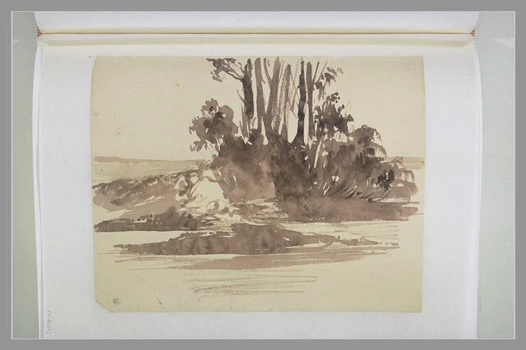 Bouquet d'arbres au bord de l'eau