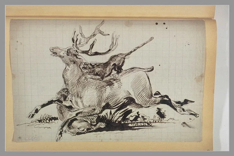 Cerf mordu par deux chiens