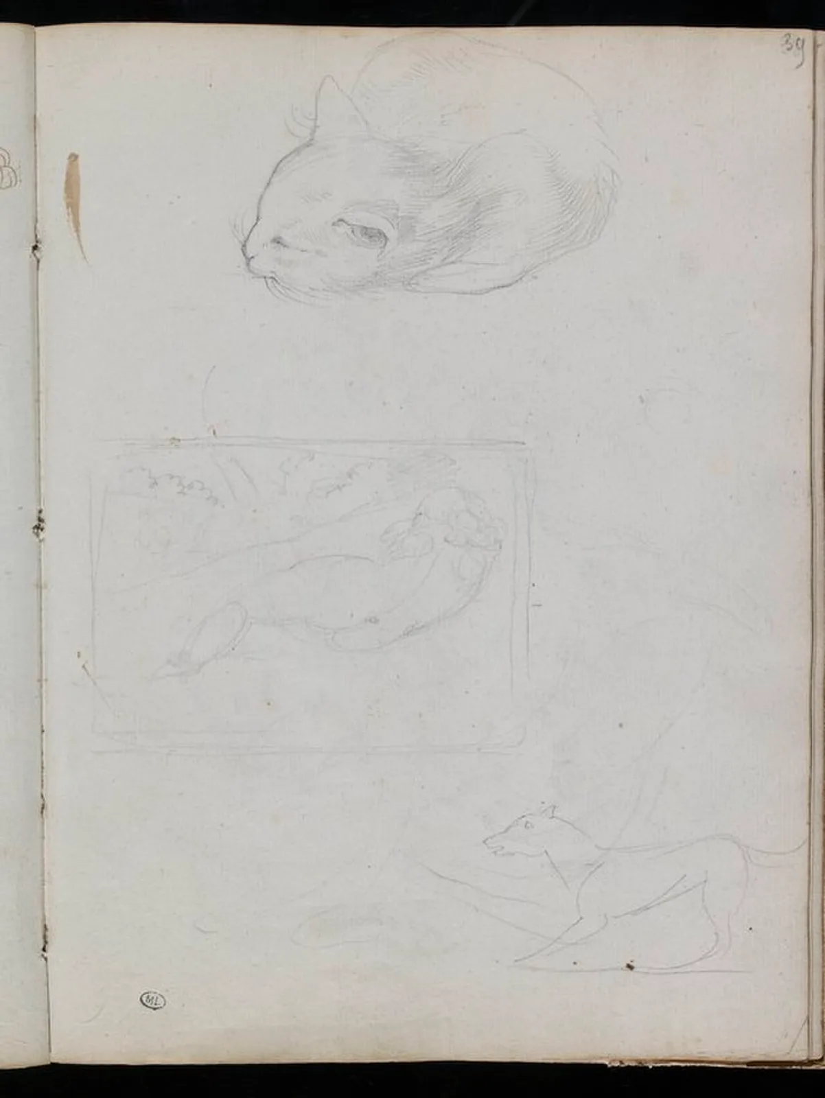 Chat endormi; femme nue couchée dans un paysage, et chien