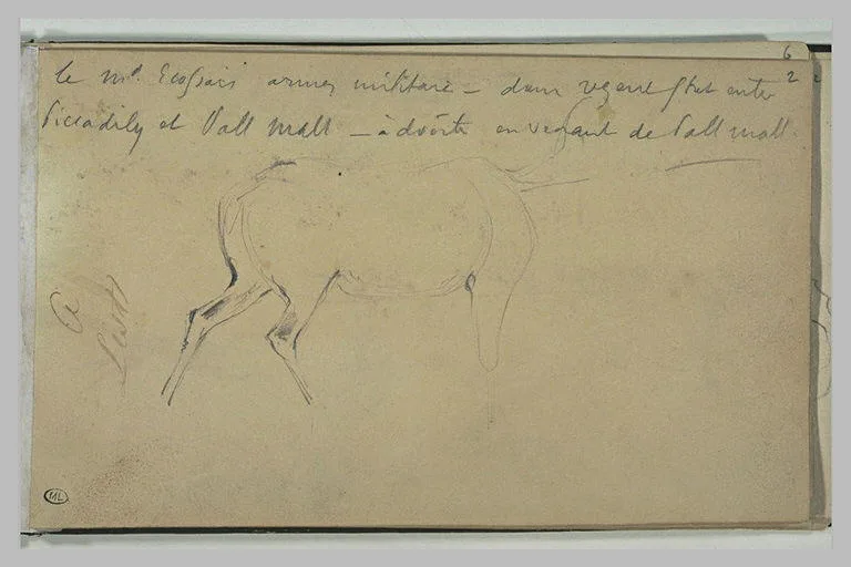 Annotations manuscrites, et corps d'un cervidé
