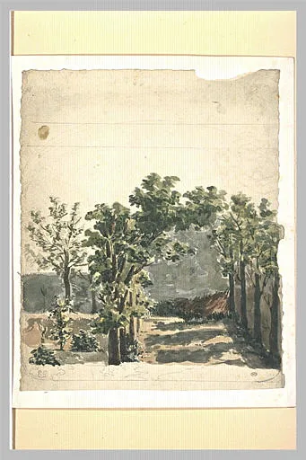 Allée d'arbres