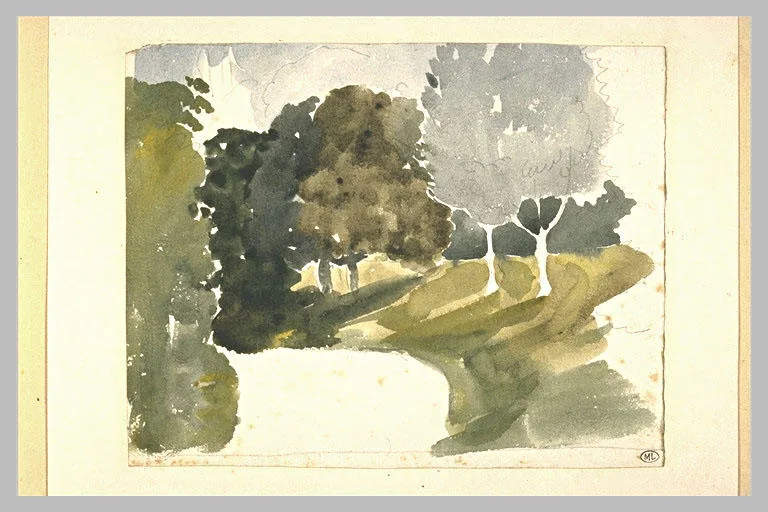 Allée bordée de grands arbres