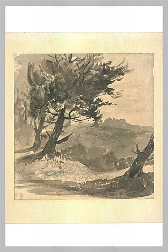 Arbres sur un plateau dominant un paysage montagneux