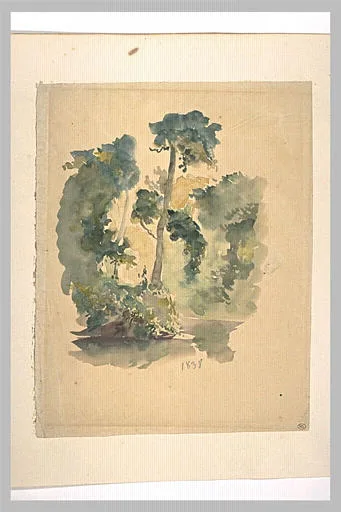 Bouquet d'arbres
