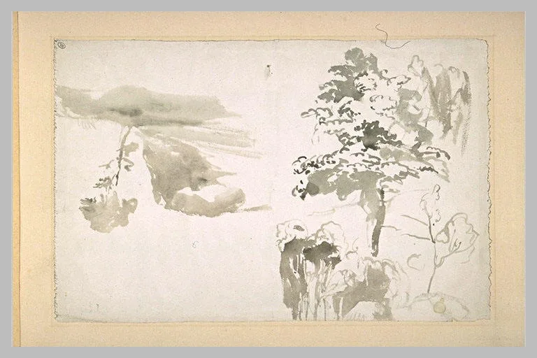 Boqueteaux et un arbre au pied d'un plateau