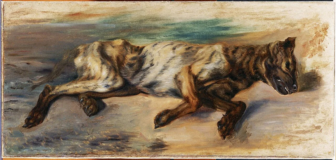 Dead Dog