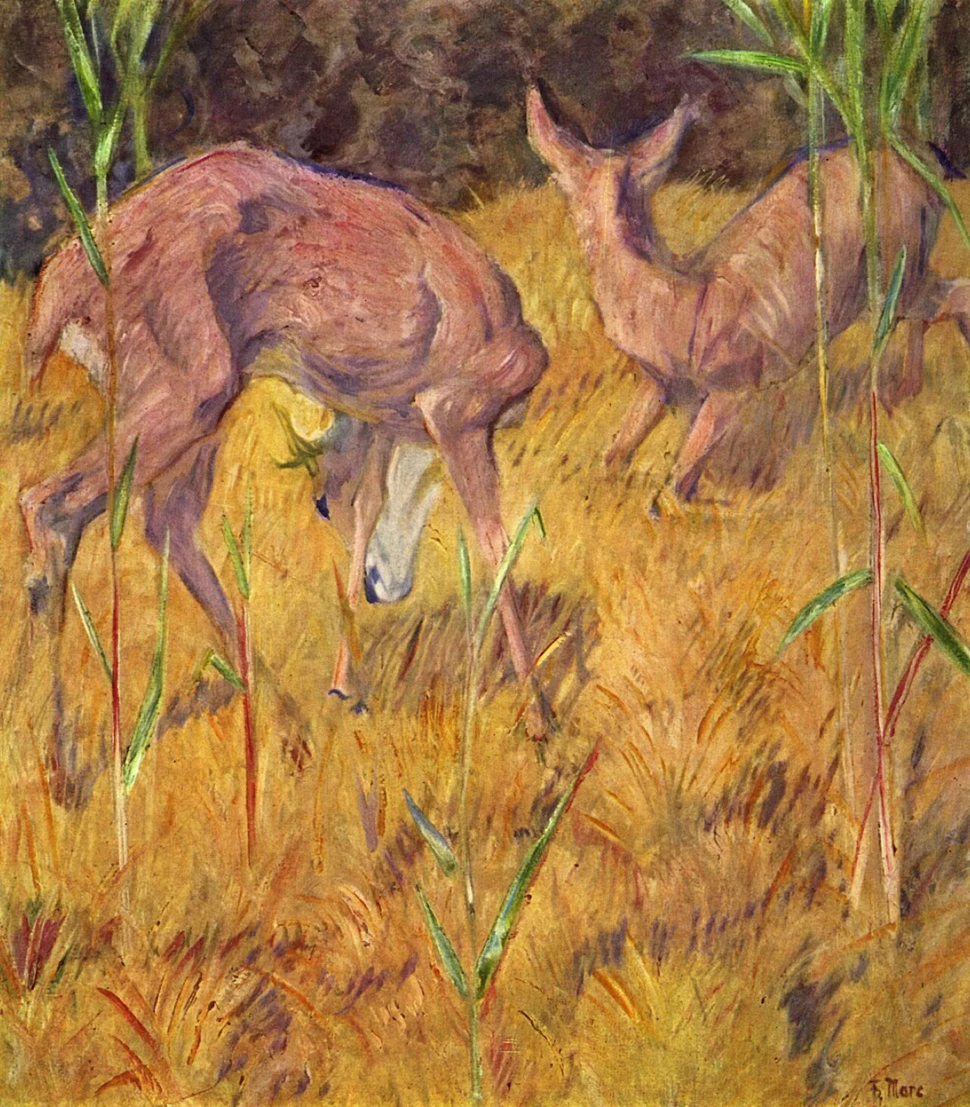 Deer in the reeds