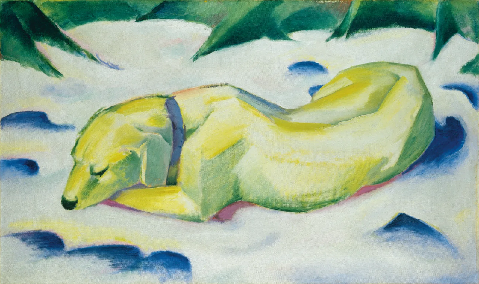 Dog Lying in the snow