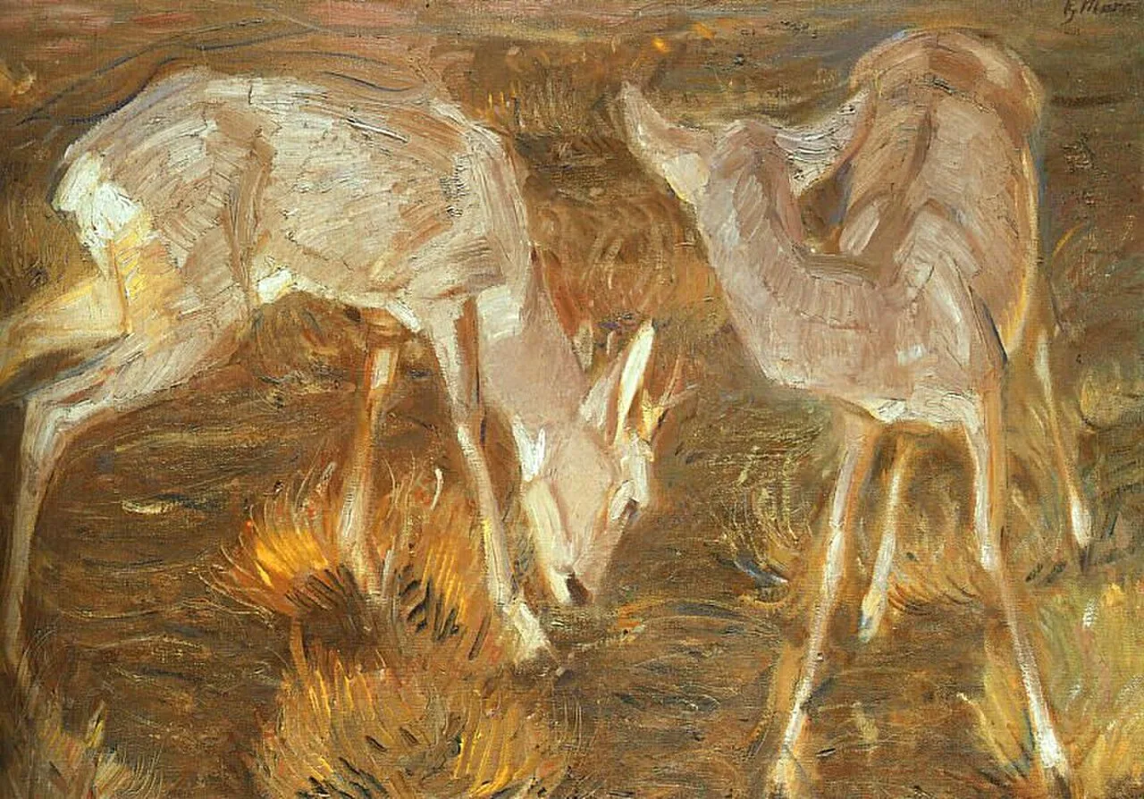 Deer at dusk