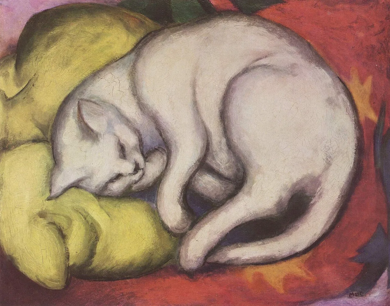 The White Cat