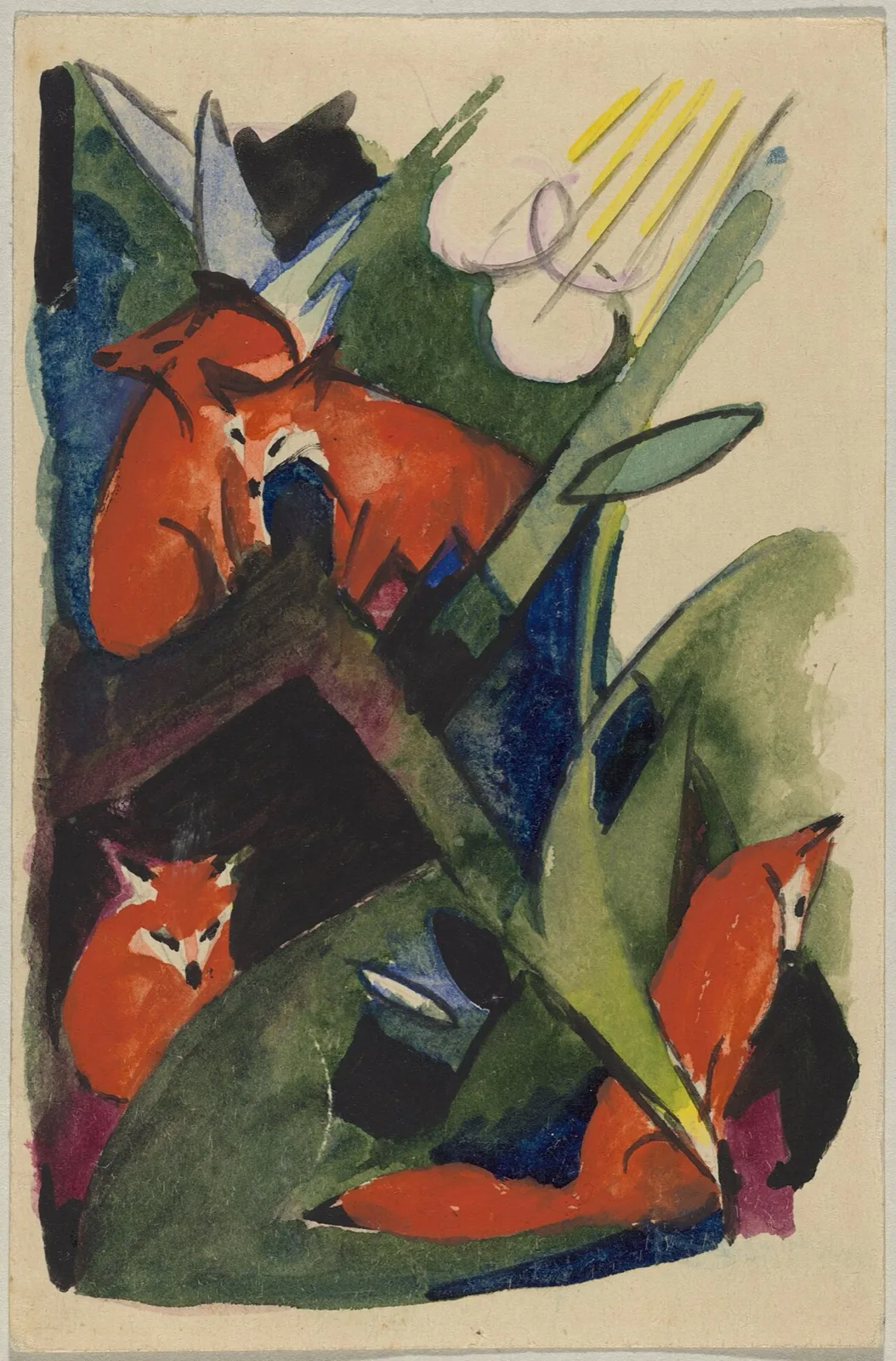 Four foxes