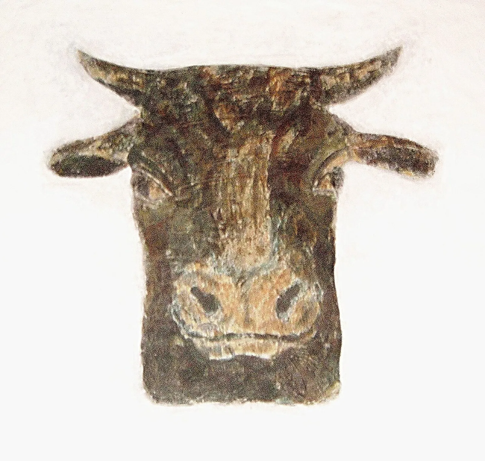 Cow head