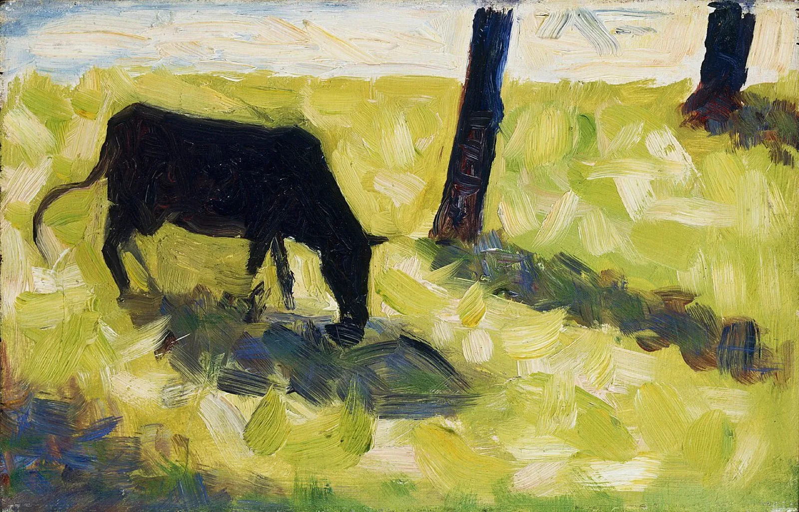 Black Cow in a Meadow