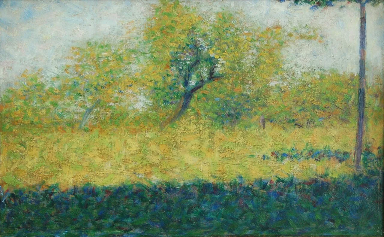 Lisière de bois au printemps