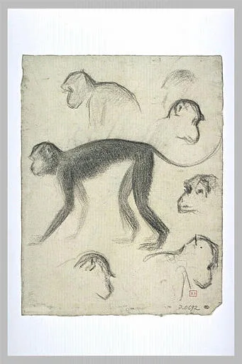 Sept singes