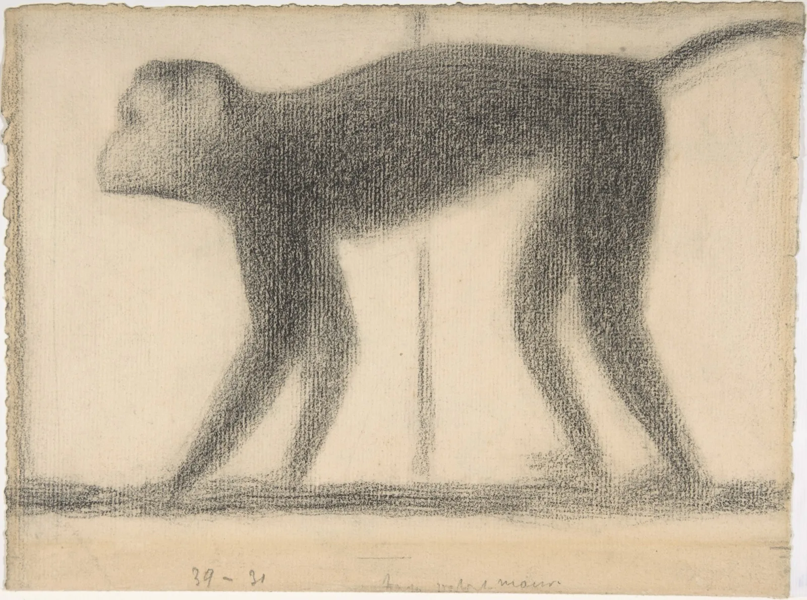 Monkey