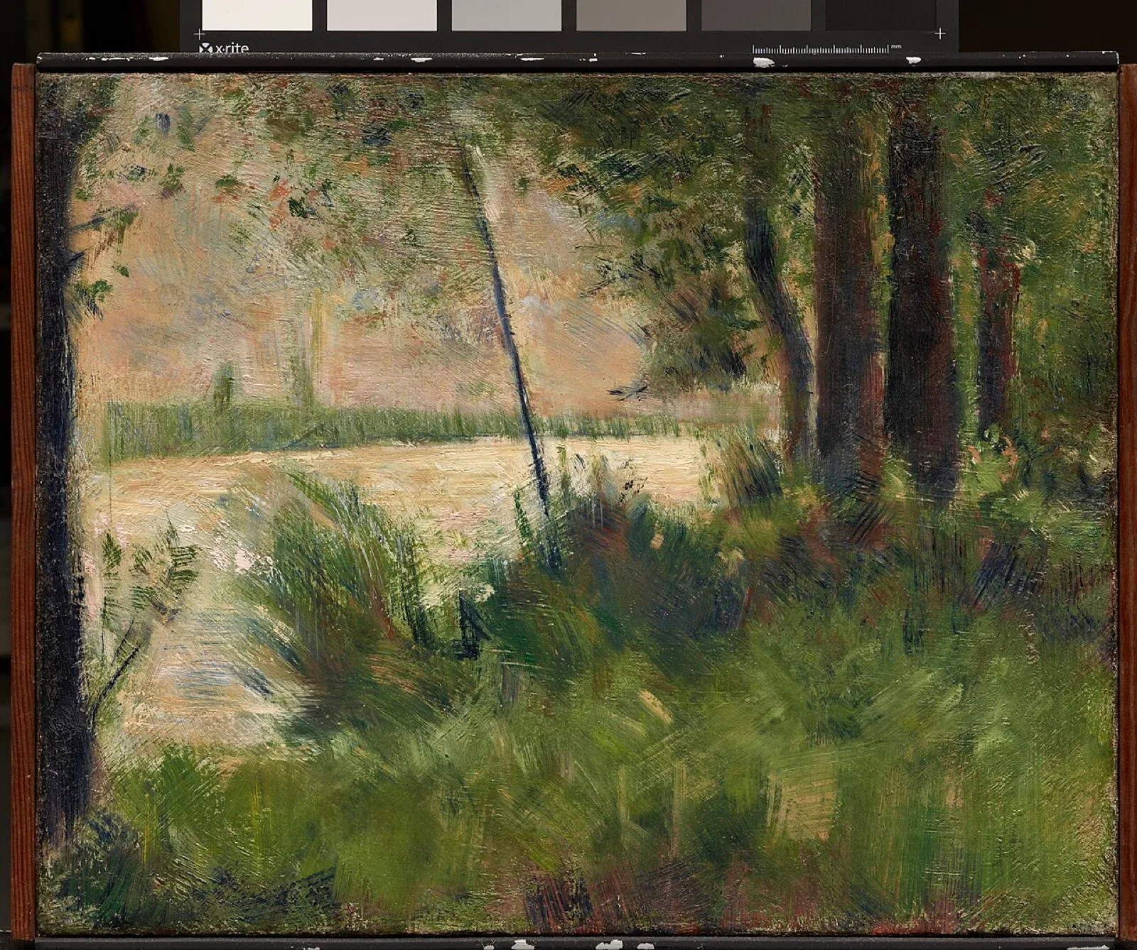 Grassy Riverbank