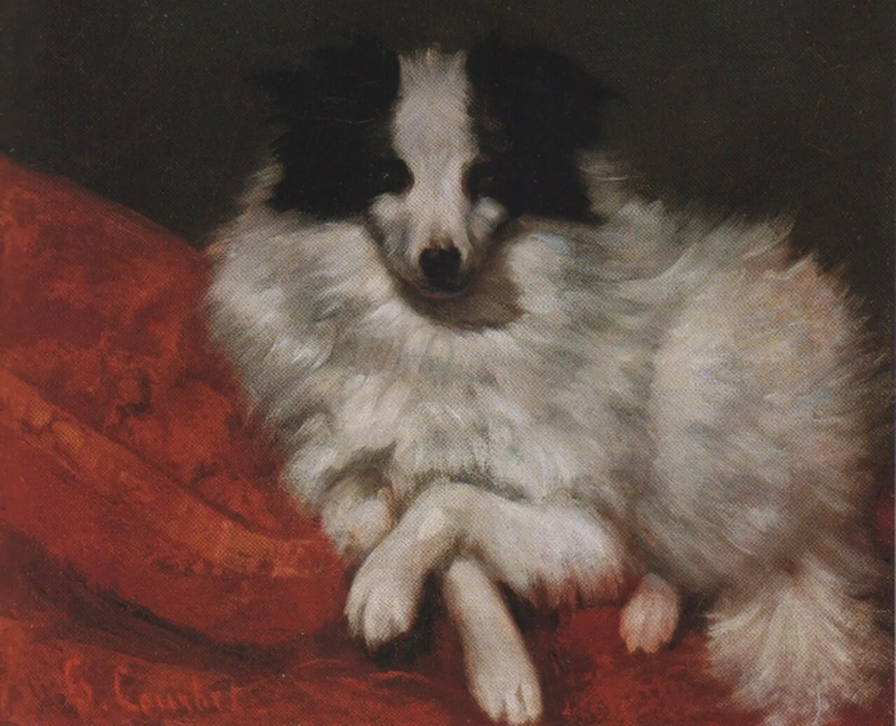 Sitting dog on pillow