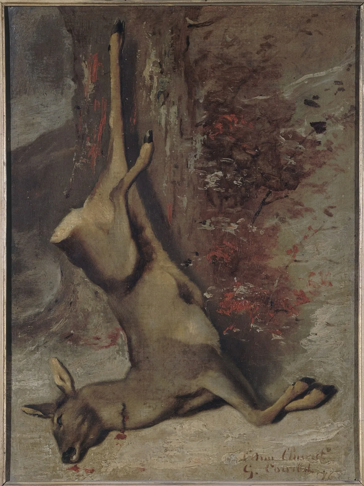 Le chevreuil