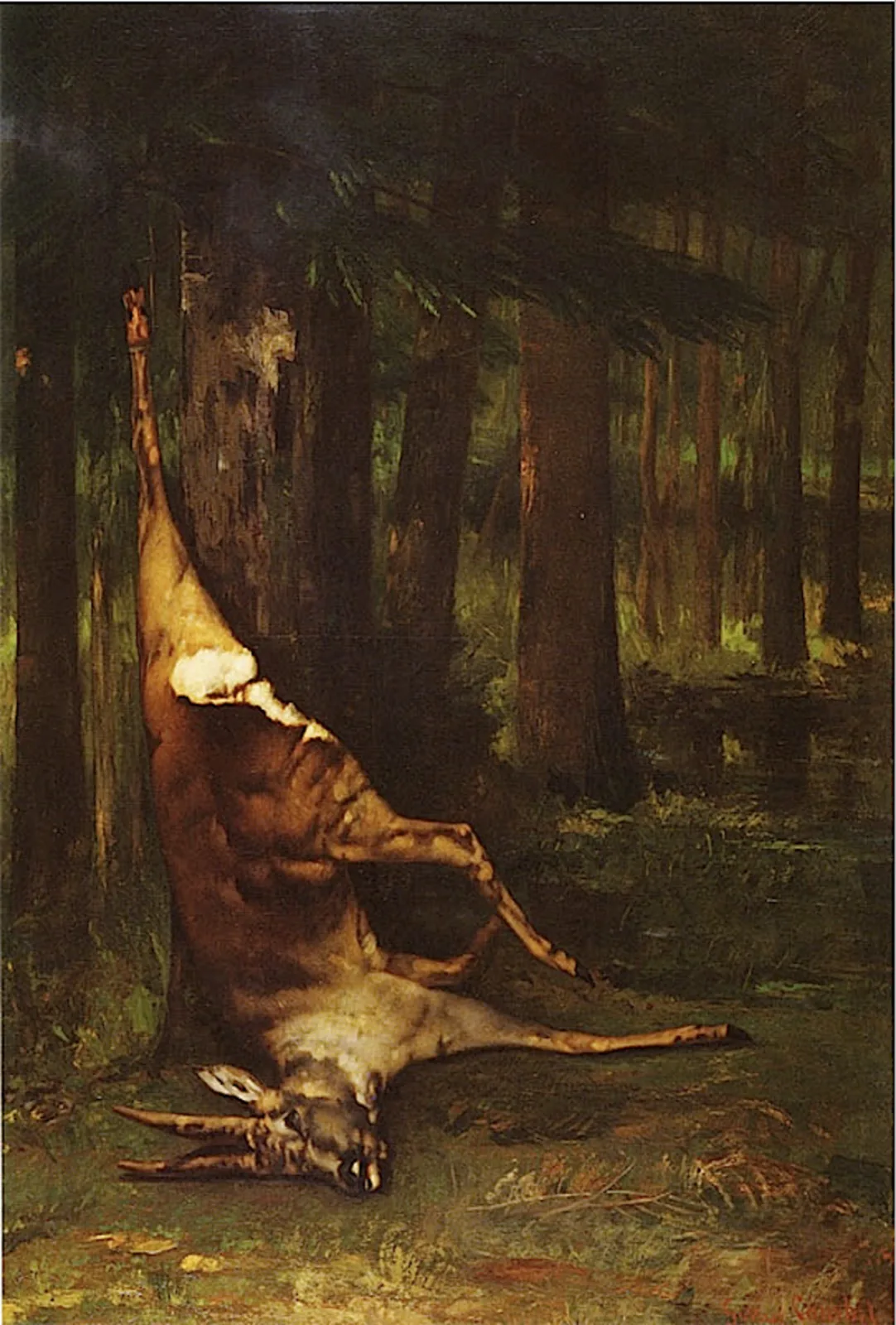 Hanging roe deer