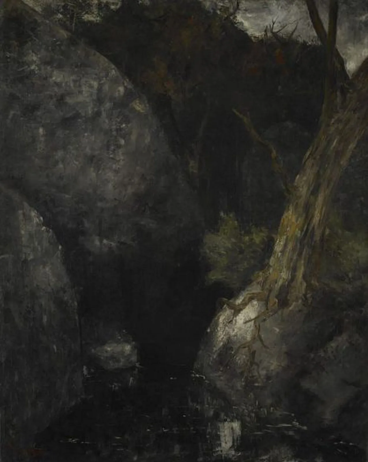 Le vieil arbre dans la gorge