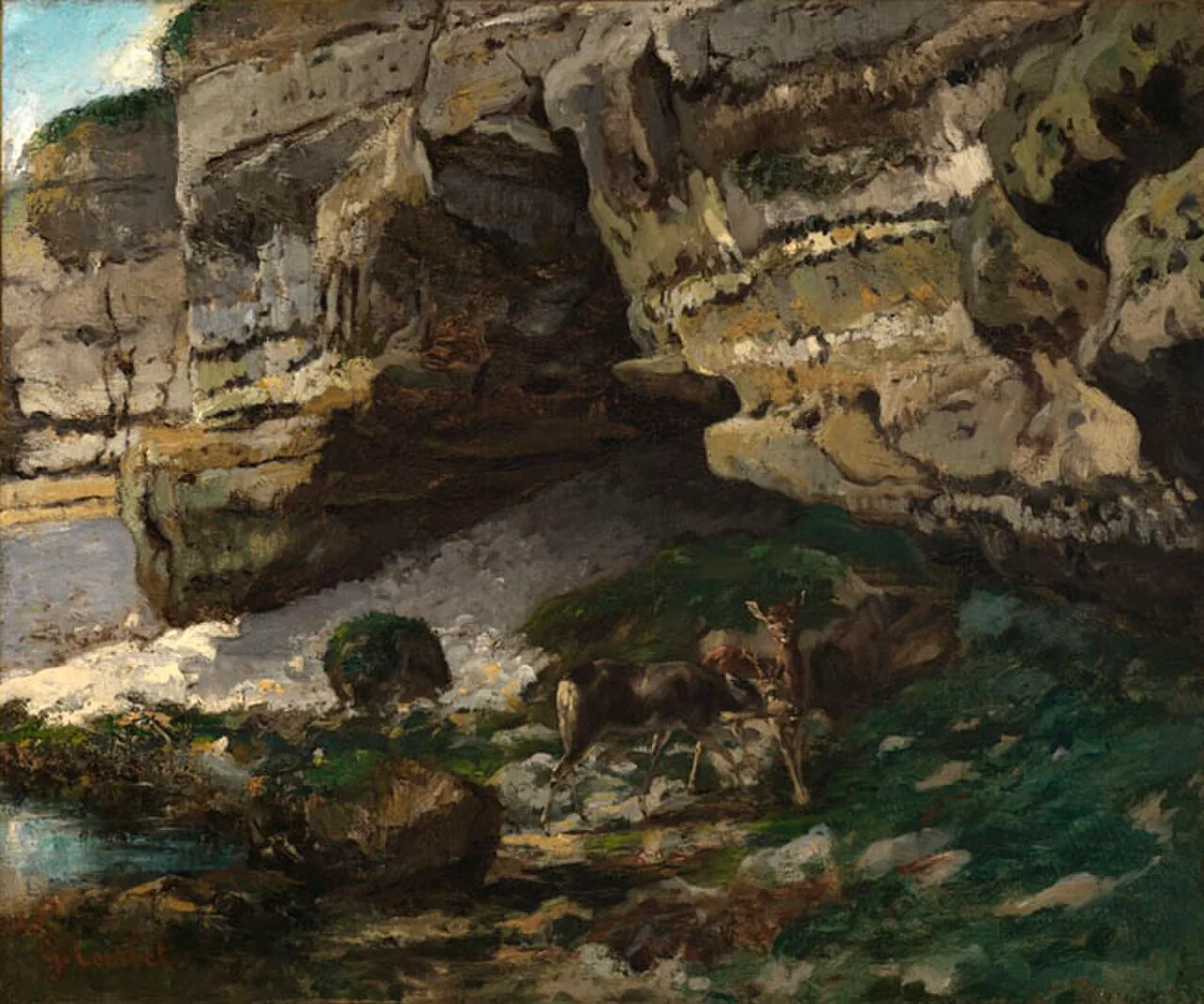 Chevreuils à la source