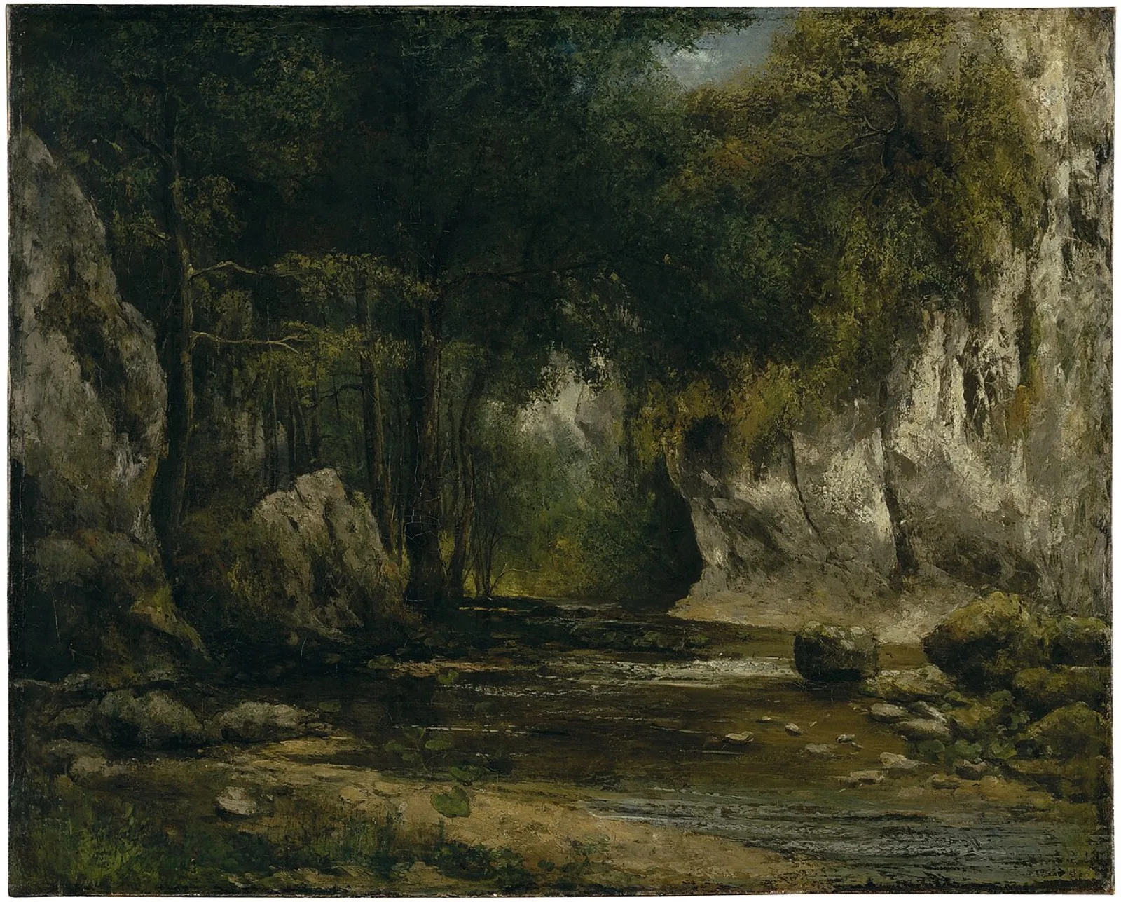 Intérieur de forêt avec ruisseau