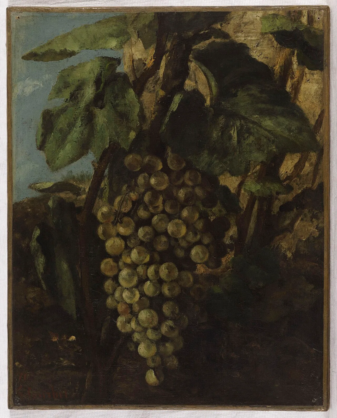 Grappe de raisins