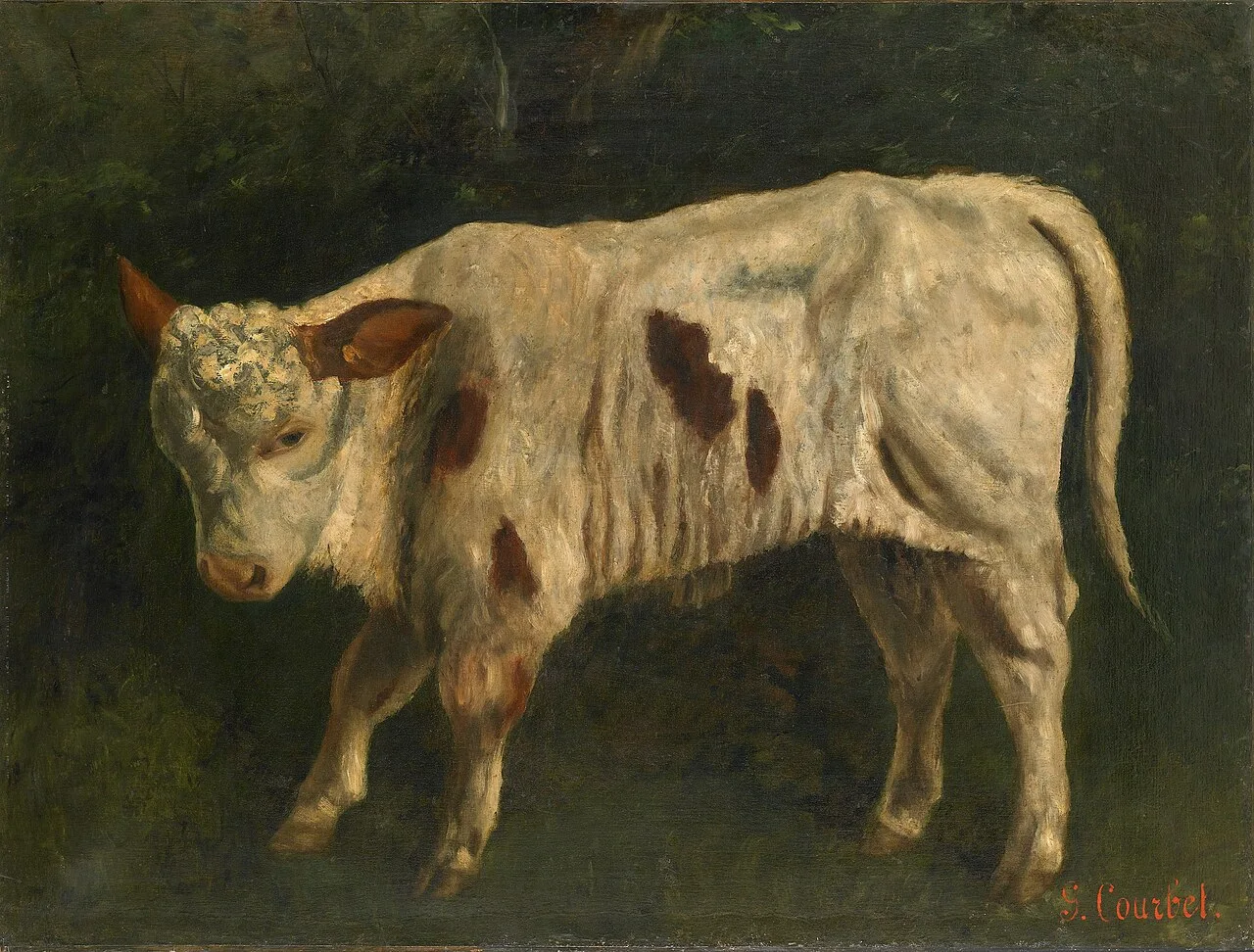 Le Veau blanc