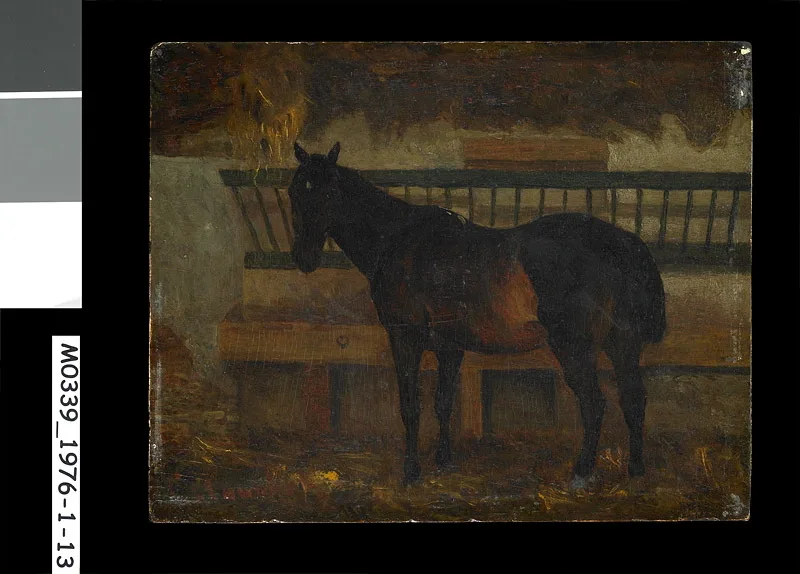 Emilius, cheval du haras de Saintes
