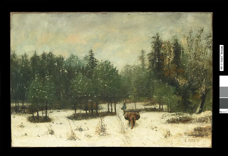 Entrée de forêt en hiver