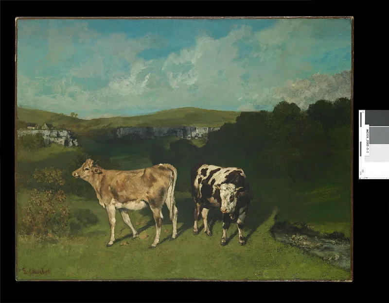Taureau blanc et génisse blonde