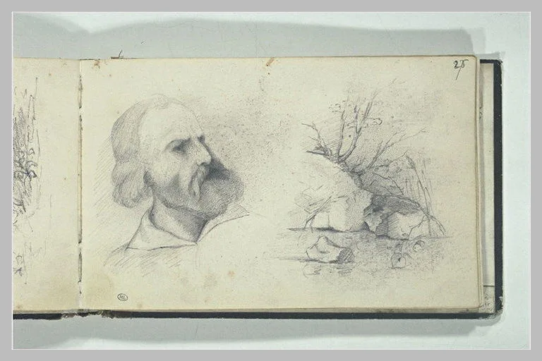 Portrait d'homme barbu; paysage rocheux