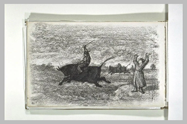 Course avec des taureaux