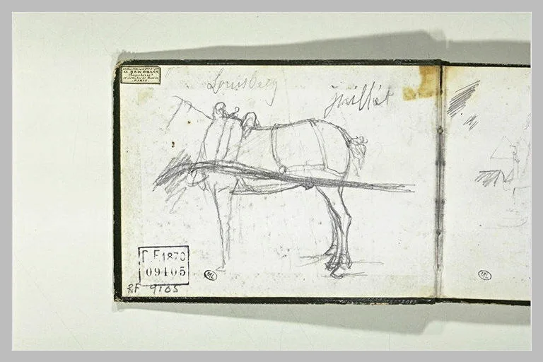 Cheval attelé, tourné vers la gauche