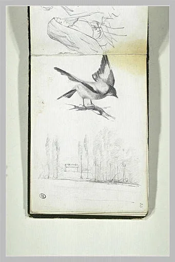 Paysage, et oiseau prenant son envol
