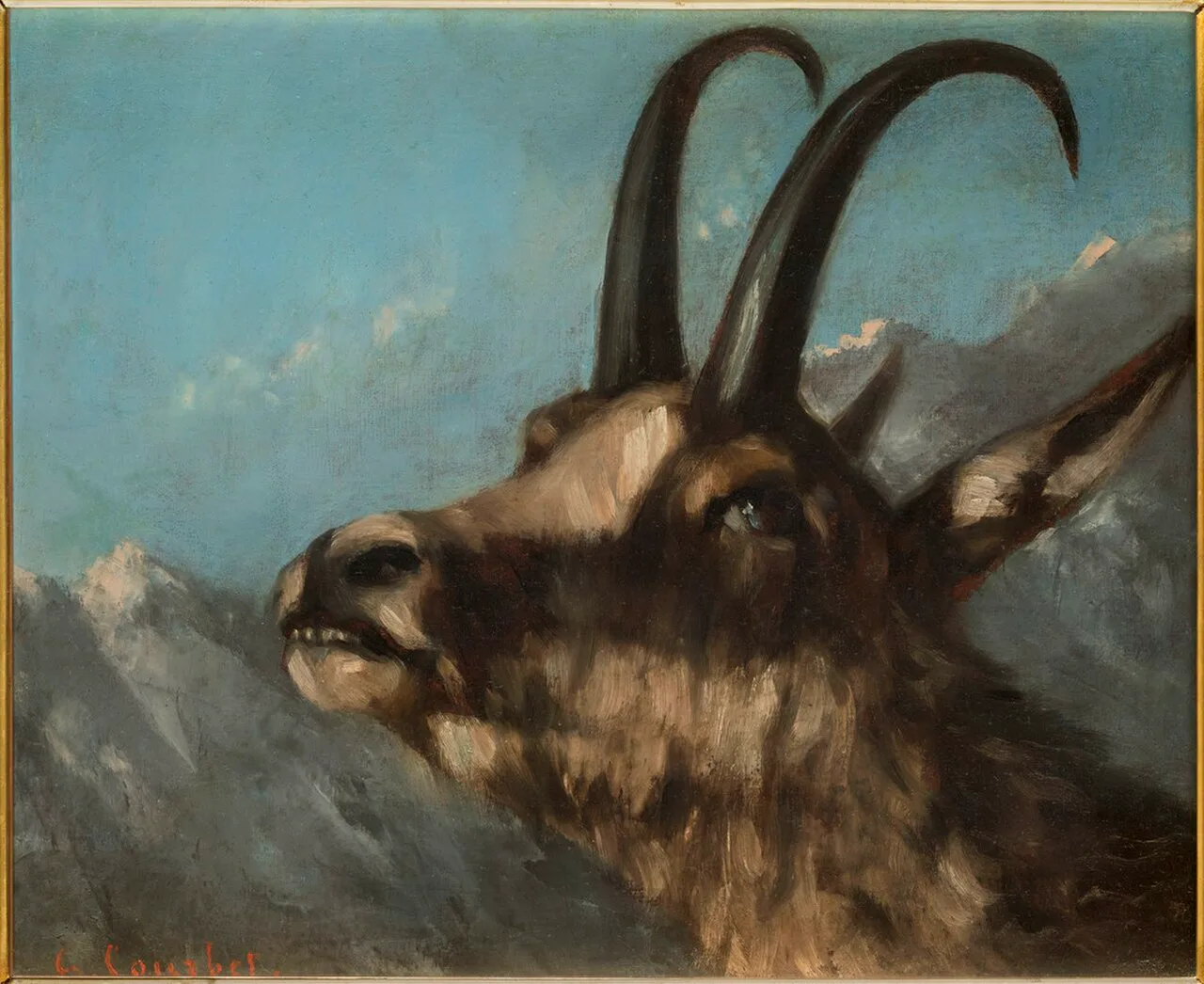 Head of a goat