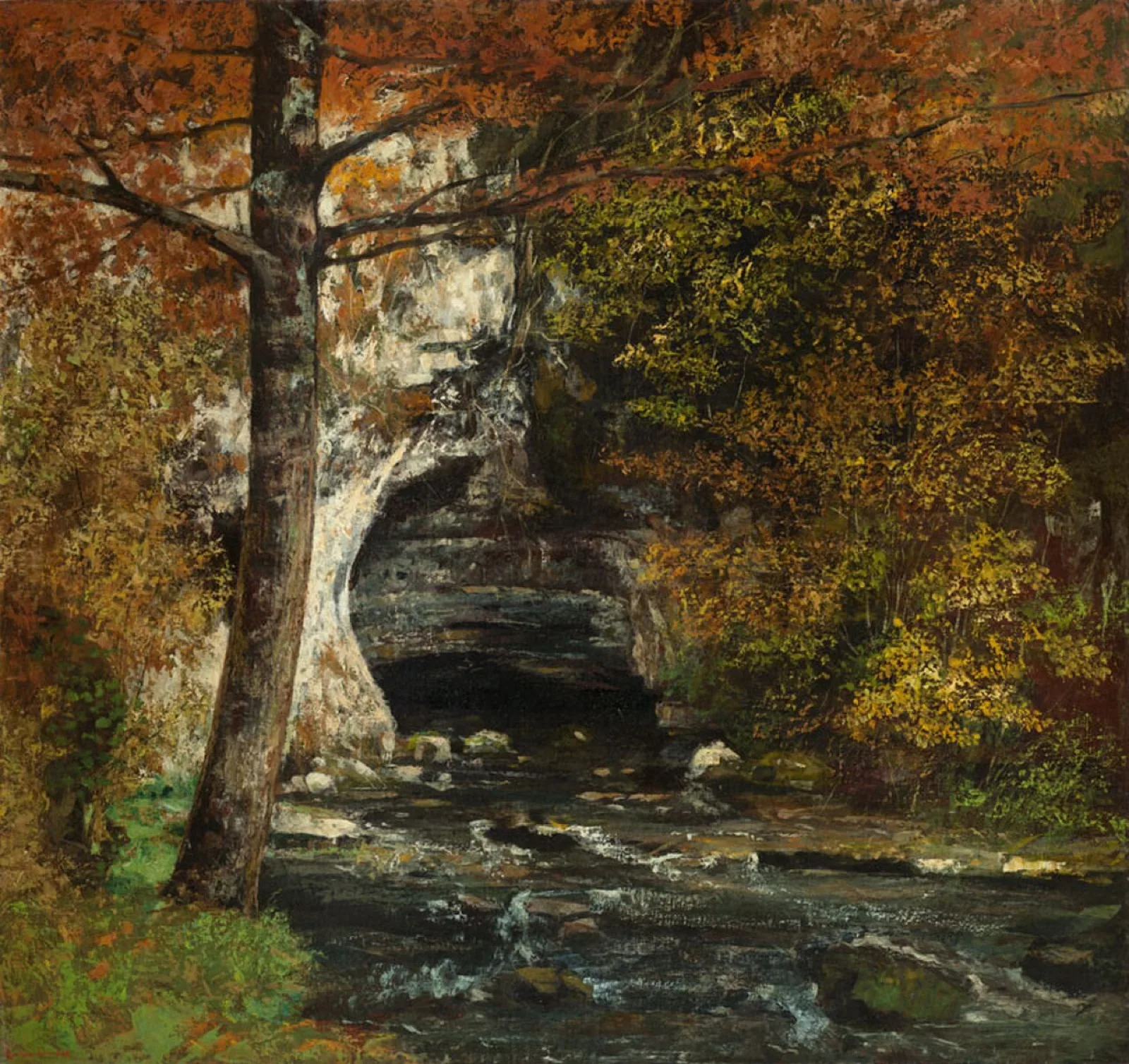 Forest Cave