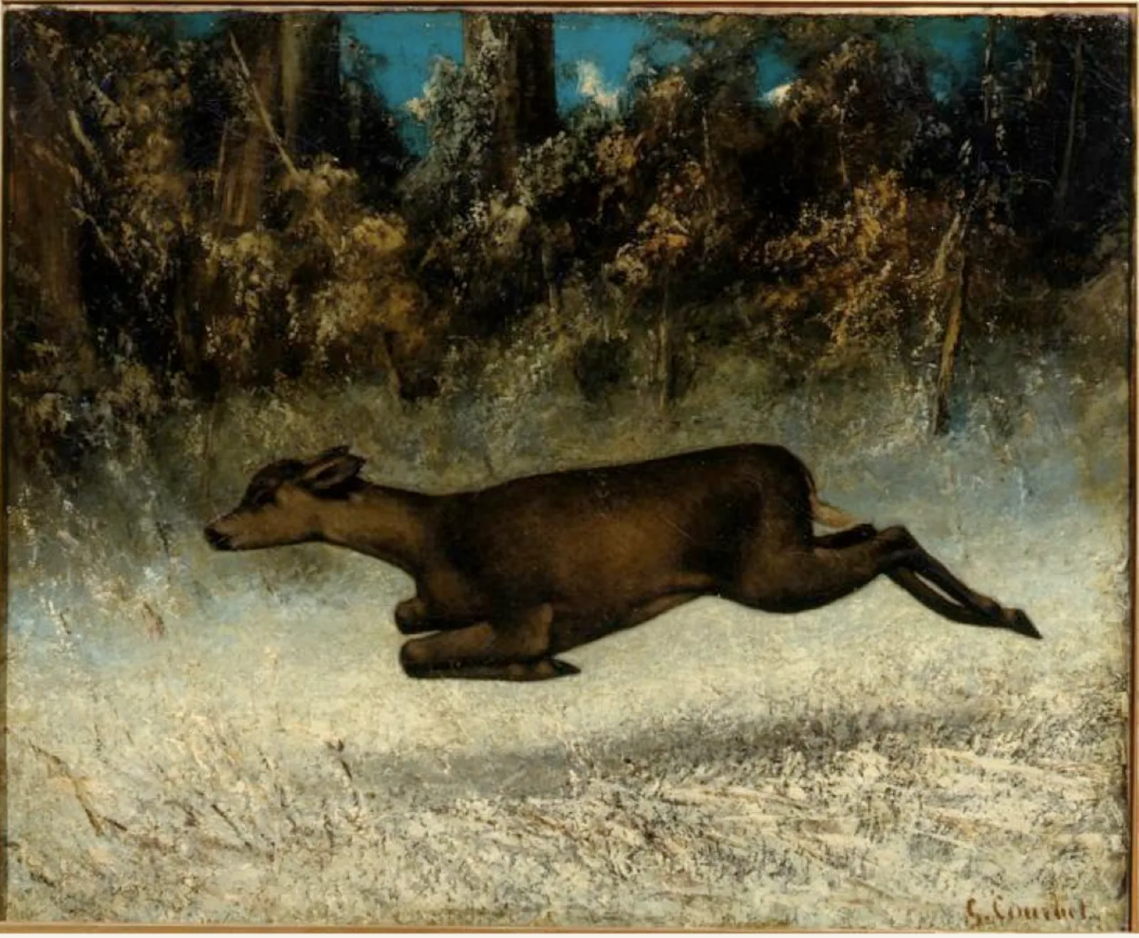 Biche courant
