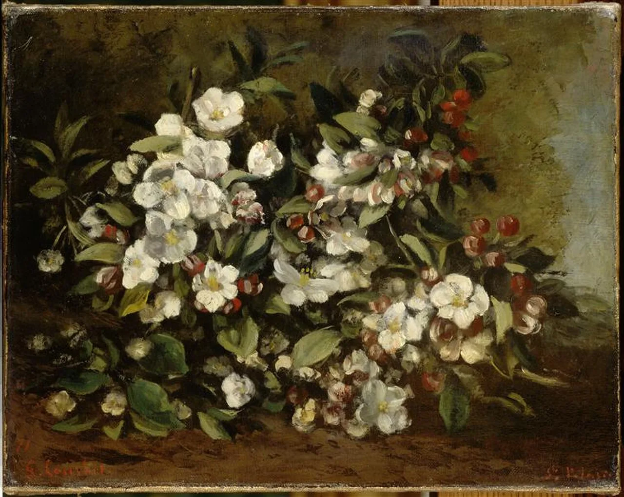 Branche de pommier en fleurs