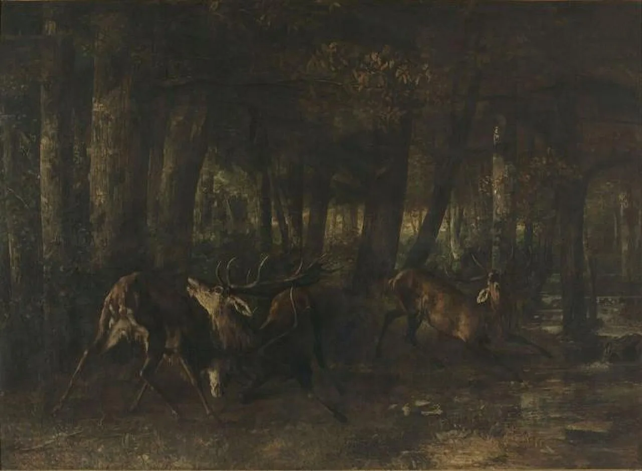Le Rut du printemps. Combat de cerfs