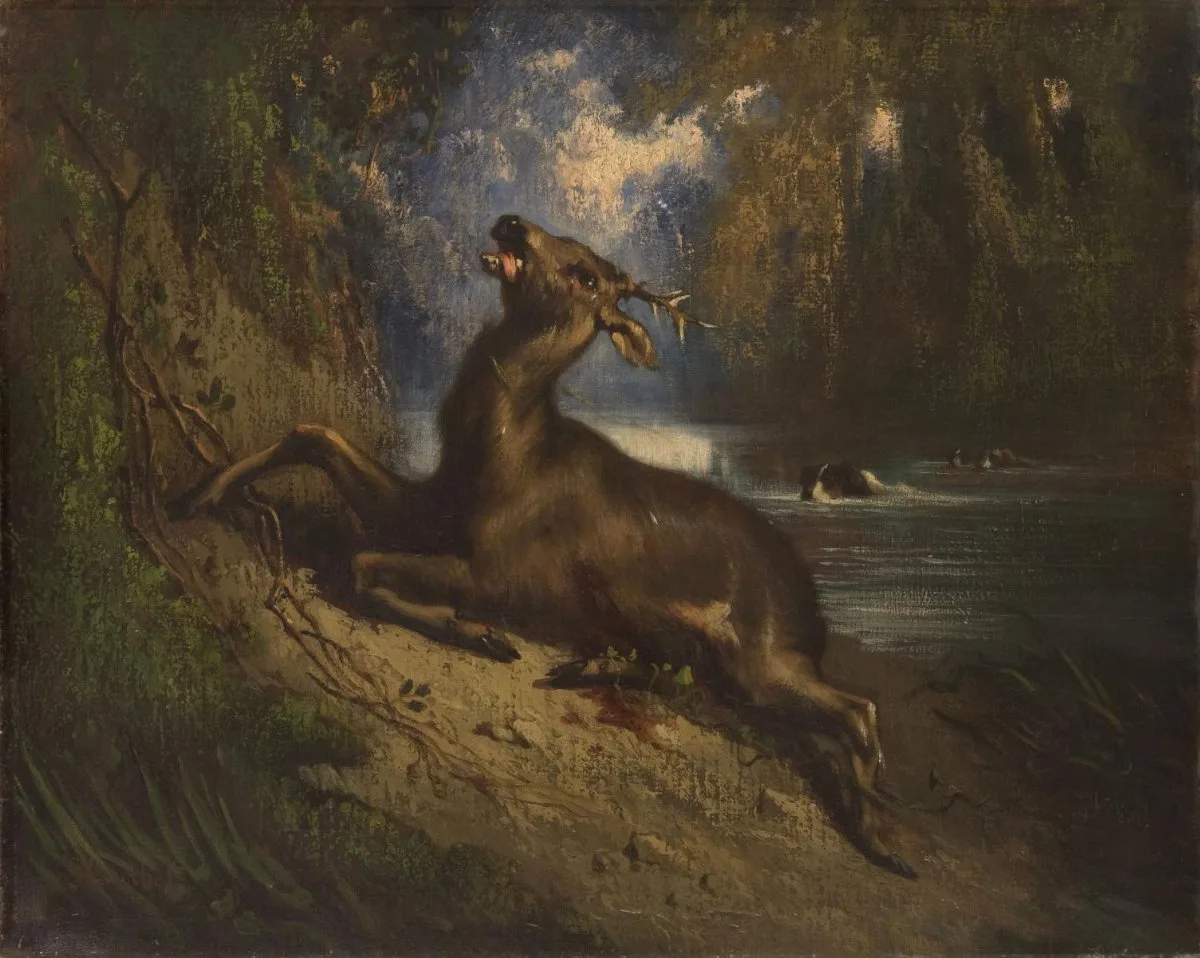 Wounded Stag