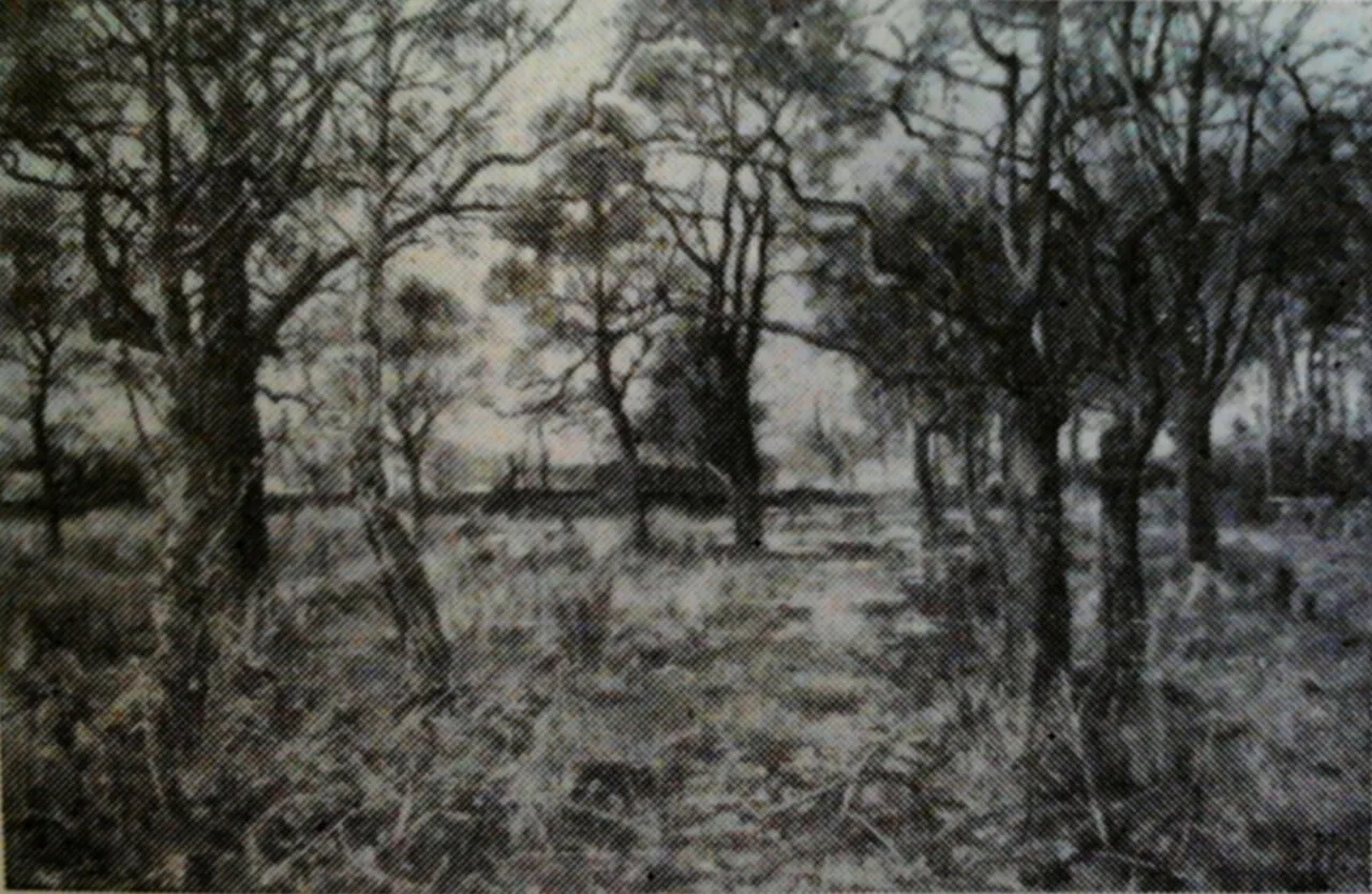 A village at the egde of a wood.
