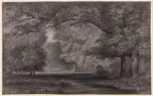 Clearing in a Forest