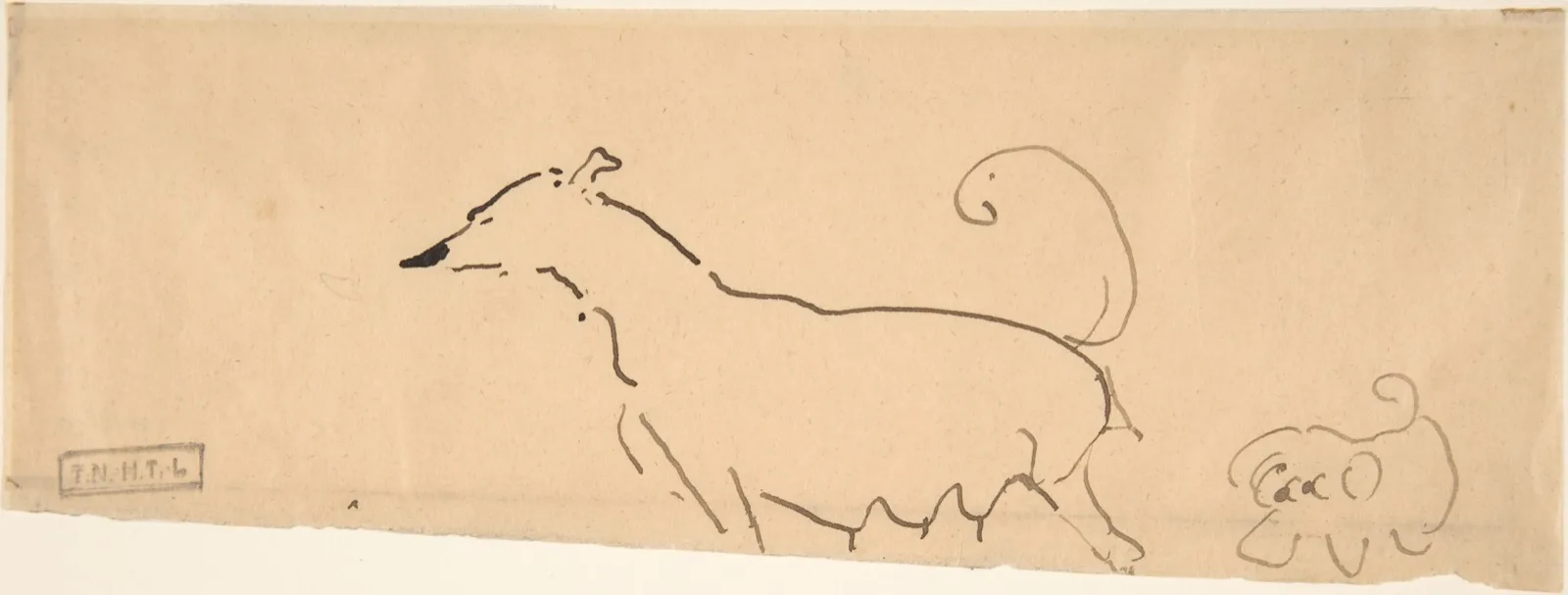 Two Dogs