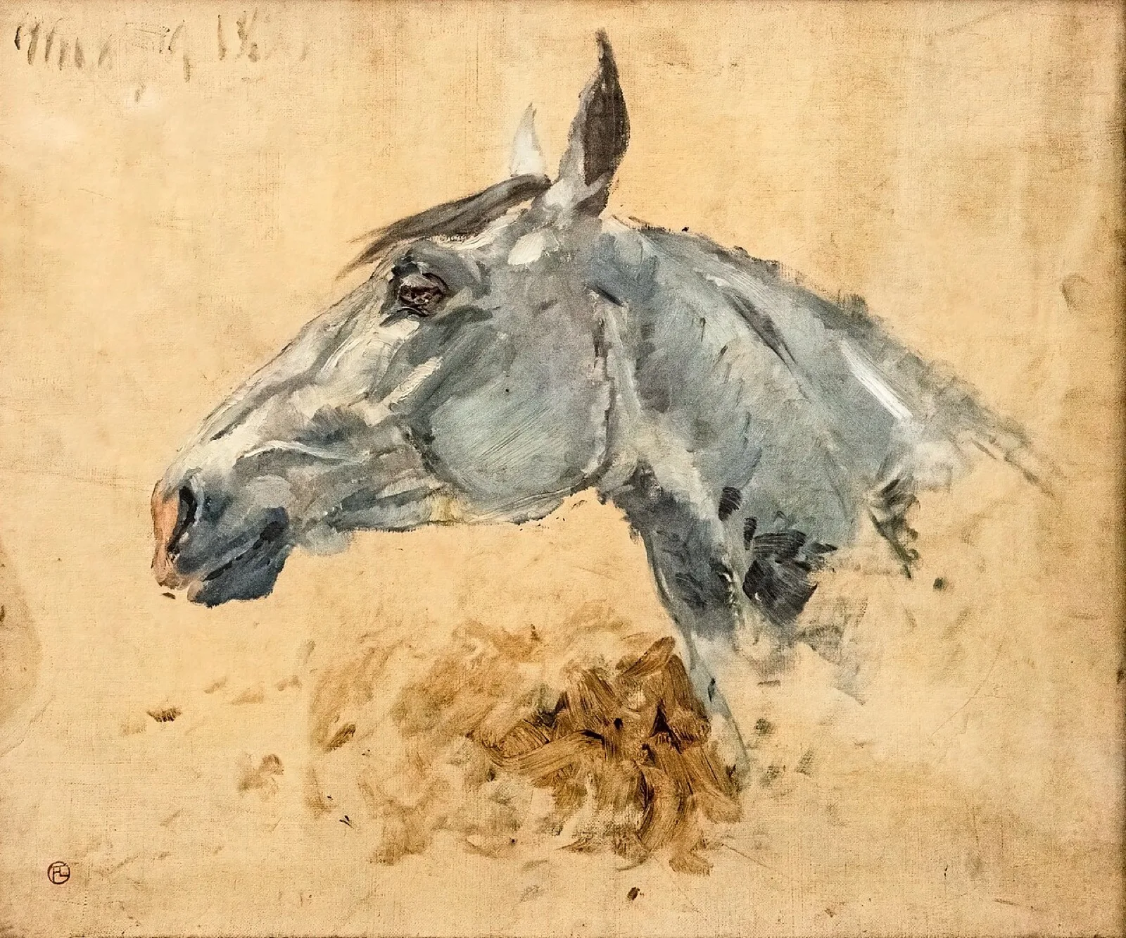 White horse GAZELLE