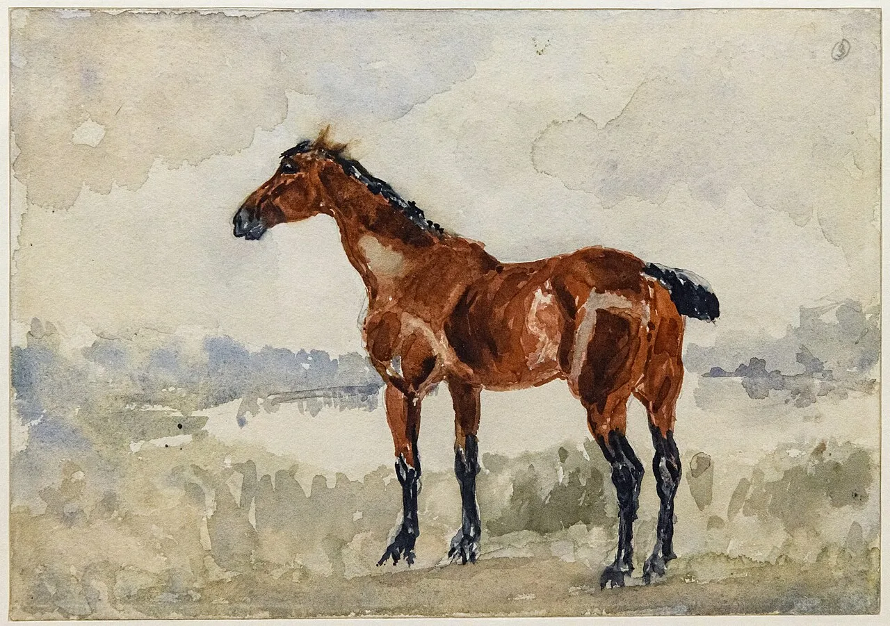 Red horse