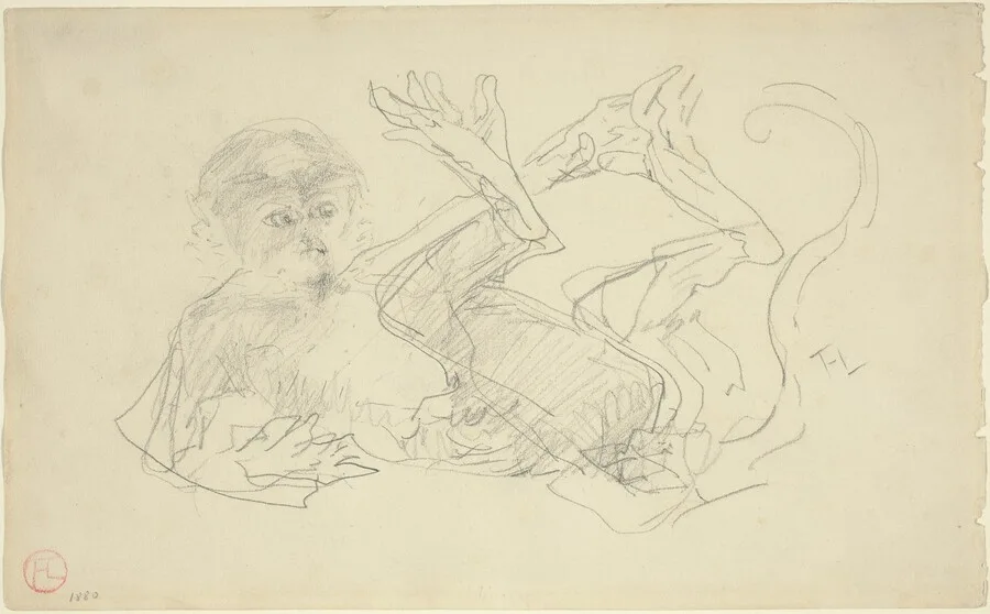 A Monkey Playing on His Back