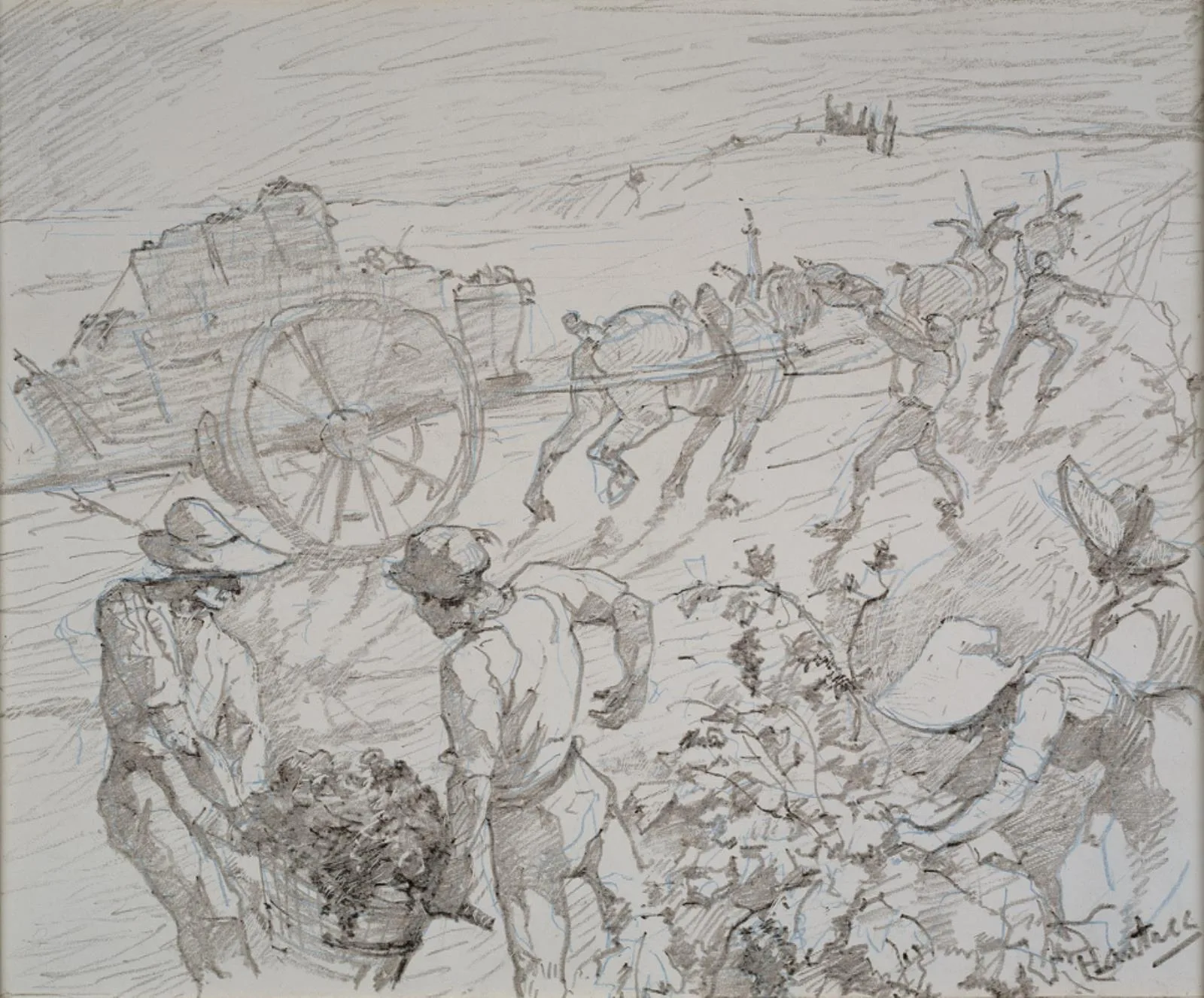 Les vendanges