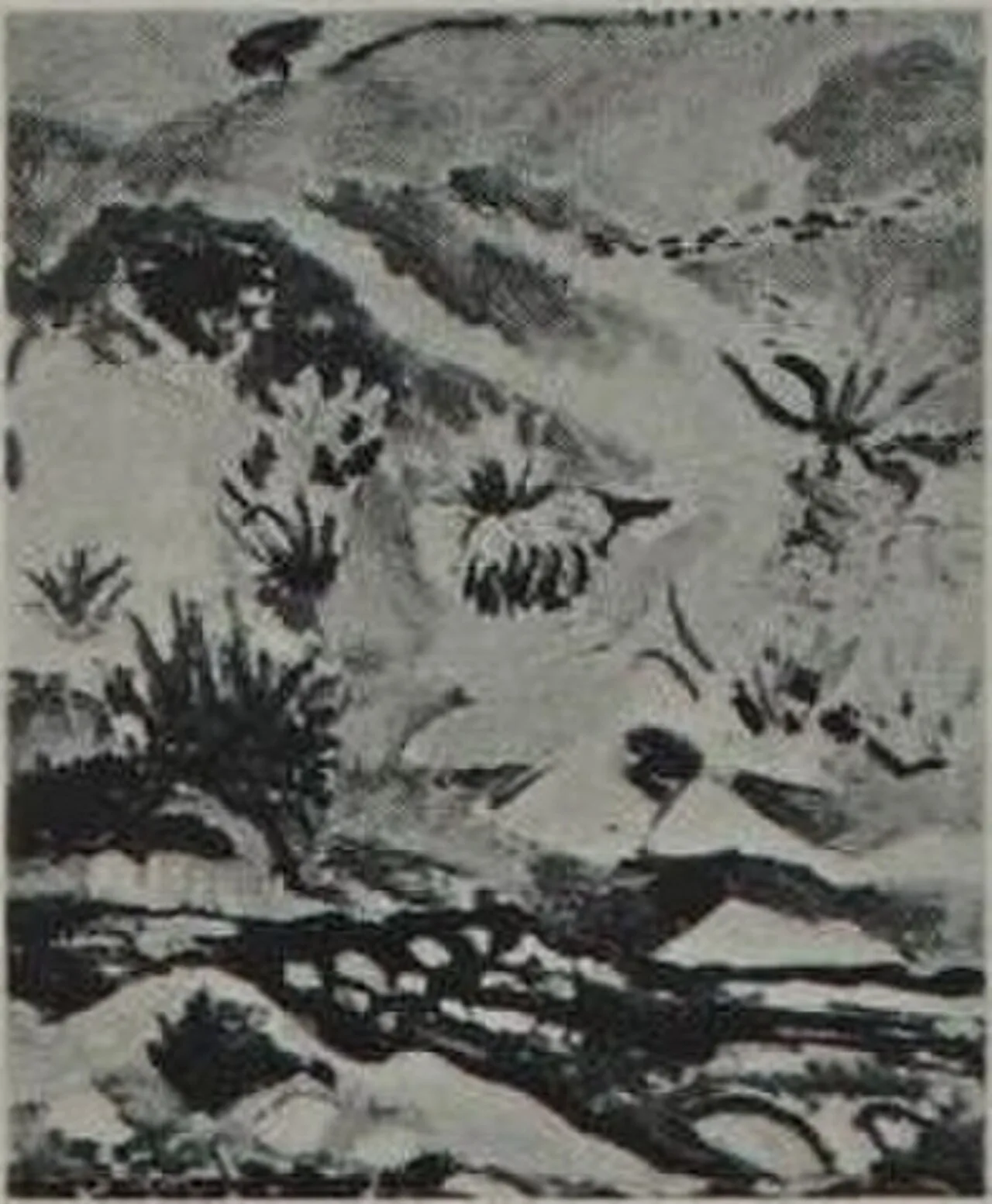 Brook with Aloes
